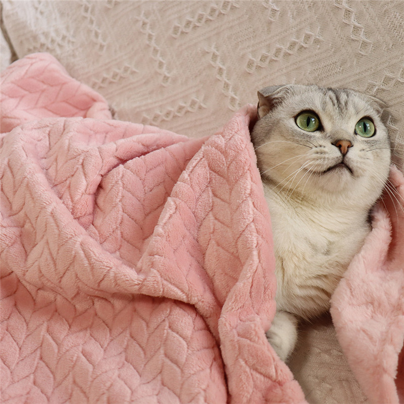 Thick Double-layer Coral Fleece Flannel Soft Warm Air Conditioning Winter Flannel Sherpa Blanket for Bed Sofa Cover Bedspread