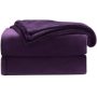 High-end supply Super Soft Coral Fleece Blanket Flannel for Sofa Blankets Fall Winter Sheet Cozy#