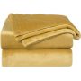 High-end supply Super Soft Coral Fleece Blanket Flannel for Sofa Blankets Fall Winter Sheet Cozy#