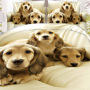 Stock Cotton Bedding Sheet Set, Flower And Butterfly Bedding Set/