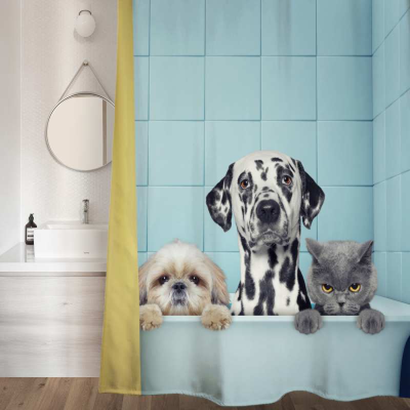 Bathroom Shower Curtain Cartoon Shading Waterproof, Thick Mildew Bathroom Curtain/