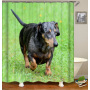 Drop Shipping Fashion Bathroom Polyester Shower Curtains Latest Printing Waterproof Shower Curtains/