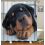 Drop Shipping Door Decorations Bathroom Curtain Polyester Waterproof  Print 180x180 Shower Curtains/