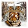 Tiger Cheap Comforter Sets Prices, Wholesale Comforter Set/Digital Print Bedding Set