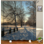 Drop Shipping Eco-friendly PEVA material trees design waterproof bath  Printing 72X72 /