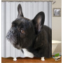 Drop Shipping Customized Size Polyester Print Waterproof Shower Curtain Bathroom Shower Curtains/