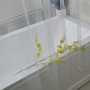 Transparent security PEVA mildew bathroom shower curtain, white  mold waterproof plastic curtain/