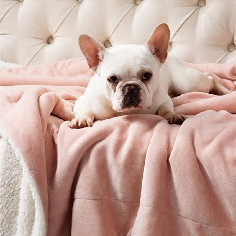 Flannelette Fluffy Winter Warm Blanket Thicken Bedding Sheet Newborn Kids Teens Covering Quilt