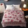 Cute Warm Blankets Winter Fluffy Nap Beds Sofa Blanket Flannel Throw Blanket/
