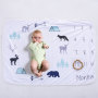 Background Calendar Milestone Blanket, Lovely Baby Soft Blanket High Quality Photography Blanket/