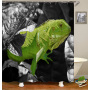 Cute Pet Design Bathroom Damp-Proof Mildew-Proof Shower Curtain Most Popular With Children Hot Sale 180*180cm Shower Curtain