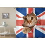 Amazon hot selling high-end 3D EVA shower curtain novel cat eye pattern curtain Shower curtain/