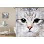 Amazon hot selling high-end 3D EVA shower curtain novel cat eye pattern curtain Shower curtain/
