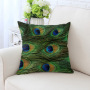 Peacock feather bulk chair cushion, cover pillow for sofa