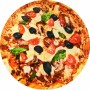 Super soft flannel toasted baby tortilla Throw Blanket Travel Portable Pizza Burrito Tortilla Round Wrap Blanket for Bed Office