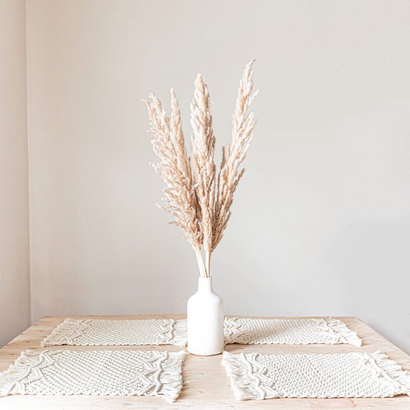 Handmade Cotton Macrame Placemats Set of 4, Woven Boho Placemats,  Modern Farmhouse Fringe Placemats for Dining Table Kitchen#