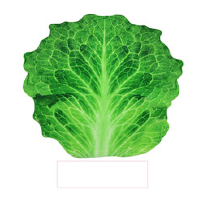 Can Be Customized Printed Cholocates Food Blanket, 150cm Cake Blanket#