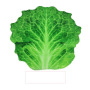 Can Be Customized Printed Cholocates Food Blanket, 150cm Cake Blanket#