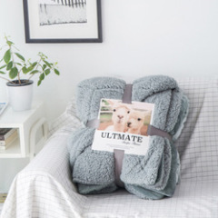 Amazon Hot Selling Double-layer Wool Blanket, European Flannel Sherpa Blanket/