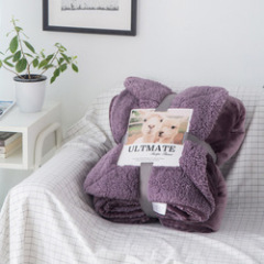 Amazon Hot Selling Double-layer Wool Blanket, European Flannel Sherpa Blanket/