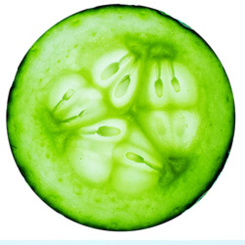 Fruit Vegetables Funny Blanket,Romaine Lettuce Washable 3D Printed Blankets#