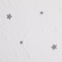 Elegant Star Light Transmission Embroidered Curtain For Living Room