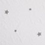 Elegant Star Light Transmission Embroidered Curtain For Living Room