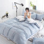 Explosion Style Flamingo Four-Piece Cotton-Like Skin-Friendly Cotton Bedding Set, Stylish Four-Piece Cotton-Proof Polyester /