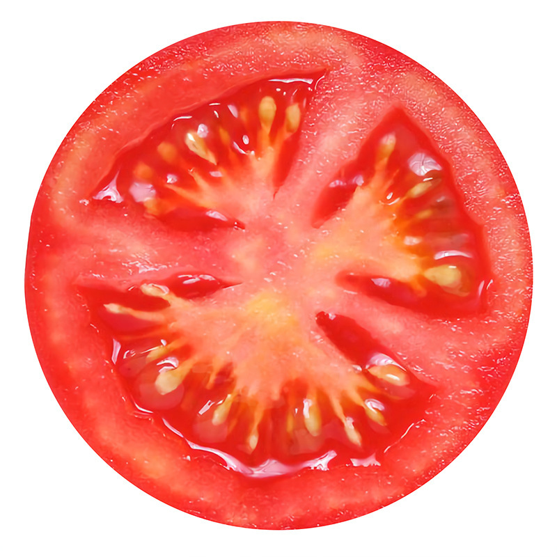 White and Yellow Egg Blanket,Funny Flannel Printed Blanket#