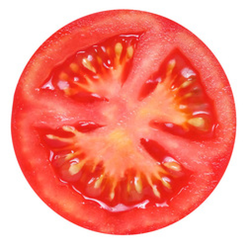 White and Yellow Egg Blanket,Funny Flannel Printed Blanket#