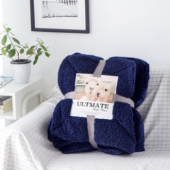 Thick Double-layer Flannel Blanket Wool Blanket, Luxury Winter Flannel Sherpa Blanket/