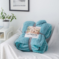 Thick Double-layer Flannel Blanket Wool Blanket, Luxury Winter Flannel Sherpa Blanket/