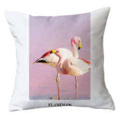 Ins Net Red Flamingo Pillow Car Sofa Waist Cushion Sleeve Customized,Funny Pillow Case Home Decor/