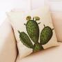 Cactus Cushions For Home Decor, 2019 New Designer Decorative Pillow Cushion Cover/