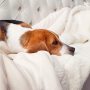 soft blankets fleece flannel  fur fluffy winter summer blanket on for the bed sofa raschel plush blanket