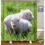 Drop Shipping 2021 Most Popular Minimalist Design Painted Elephant, 180*180cm Size Customized Design Shower Curtain#