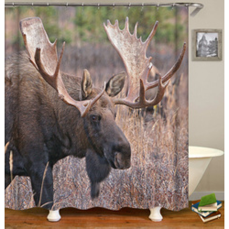 Drop Shipping 2021 Most Popular Minimalist Design Painted Elephant, 180*180cm Size Customized Design Shower Curtain#