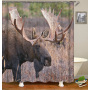 Drop Shipping 2021 Most Popular Minimalist Design Painted Elephant, 180*180cm Size Customized Design Shower Curtain#