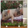 Drop Shipping 2021 Most Popular Minimalist Design Painted Elephant, 180*180cm Size Customized Design Shower Curtain#