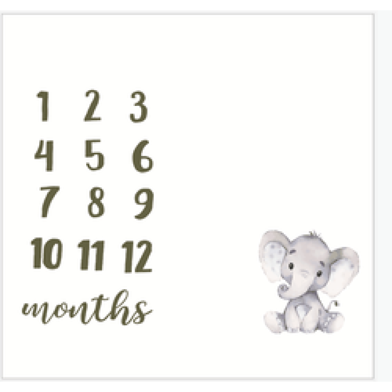 Amazon foreign trade hot baby milestone blanket baby photo prop blanket/