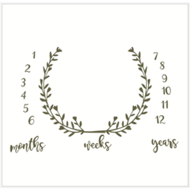 Amazon foreign trade hot baby milestone blanket baby photo prop blanket/