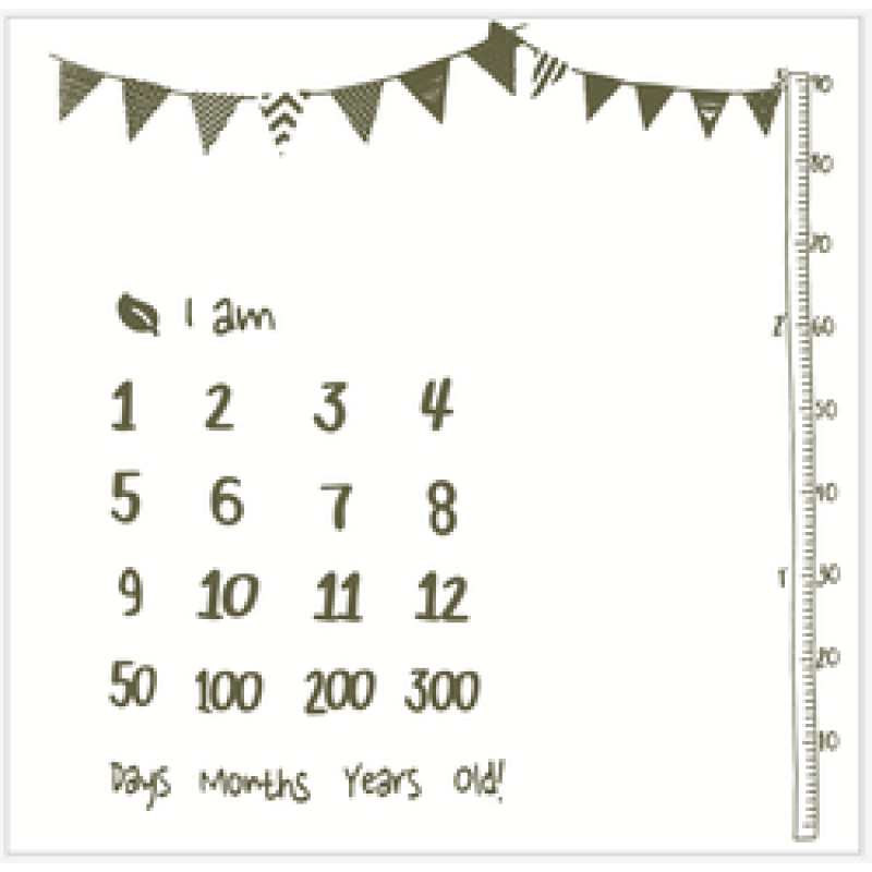 Amazon foreign trade hot baby milestone blanket baby photo prop blanket/