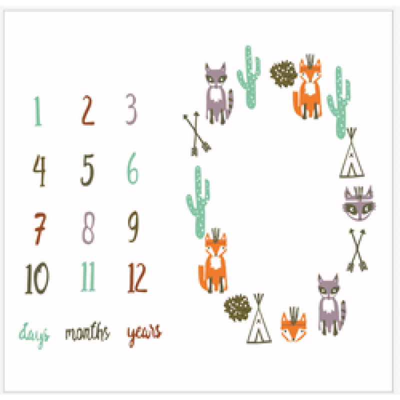 Amazon foreign trade hot baby milestone blanket baby photo prop blanket/