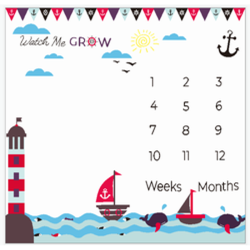 Amazon foreign trade hot baby milestone blanket baby photo prop blanket/