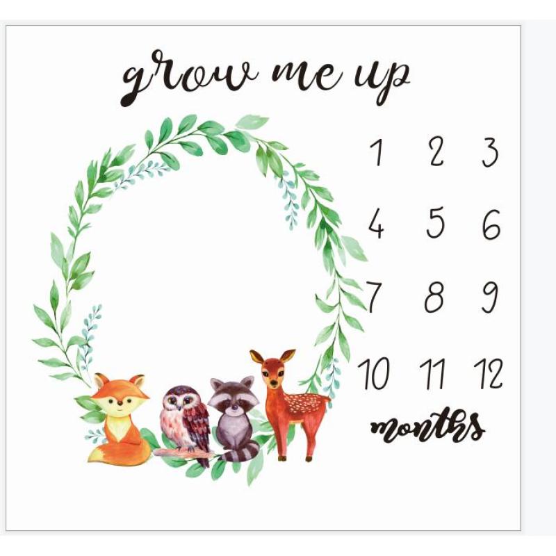 Amazon foreign trade hot baby milestone blanket baby photo prop blanket/