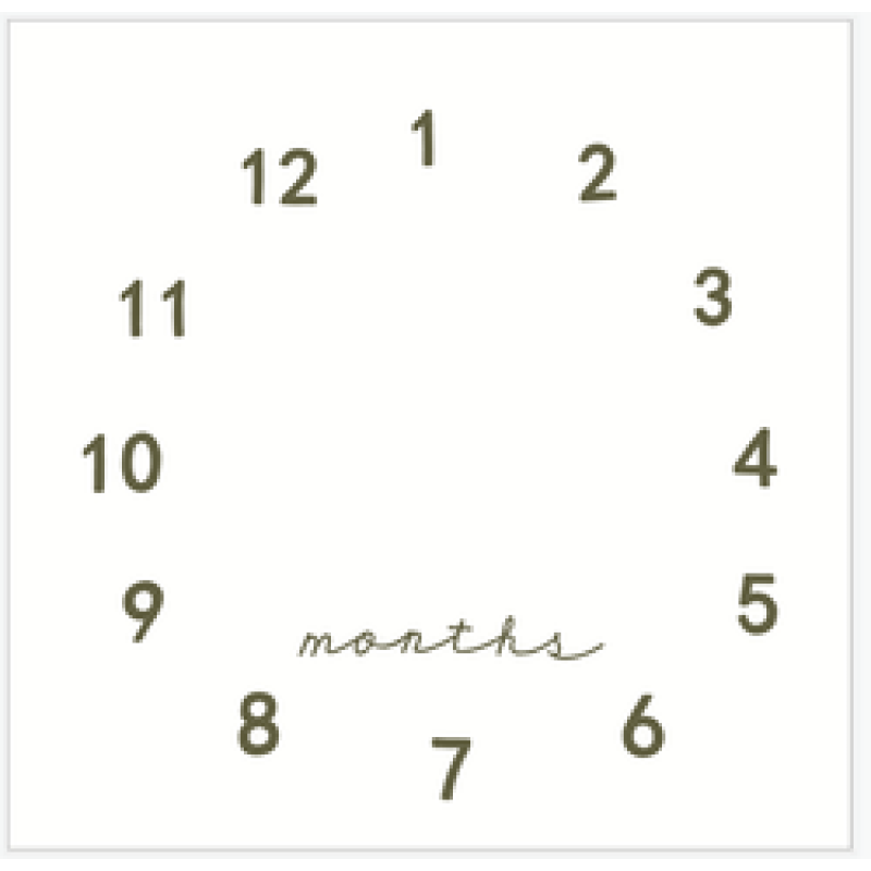 Amazon foreign trade hot baby milestone blanket baby photo prop blanket/