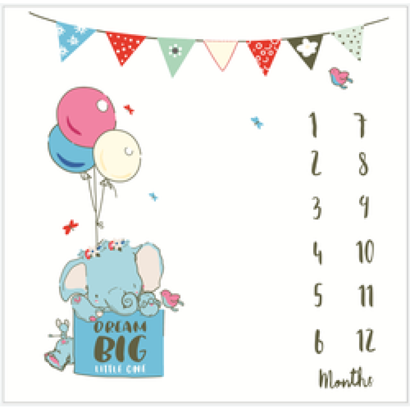Amazon foreign trade hot baby milestone blanket baby photo prop blanket/