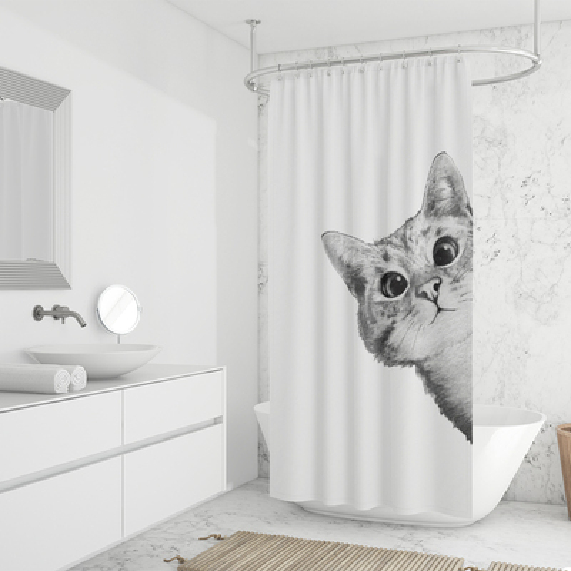 Thicken Nordic Waterproof Shower Curtain Bathroom, Student Dormitory Free Punching Water Partition Opaque Shower Curtain/