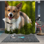New century animal shower curtain, can lengthen custom shower curtain/
