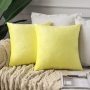 Cushion Cover Velvet Decoration Pillows For Sofa Living Room 45*45 Decorative Pillows#